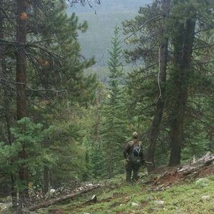 Meet your Posher, Jeremy